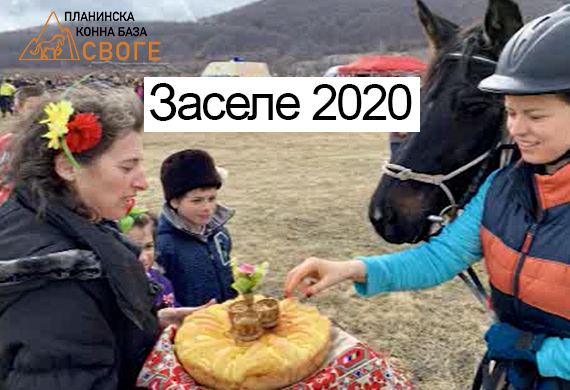 project